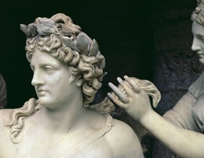 Apollo curato dalle ninfe, (dettaglio della testa di Apollo) da Francois Girardon